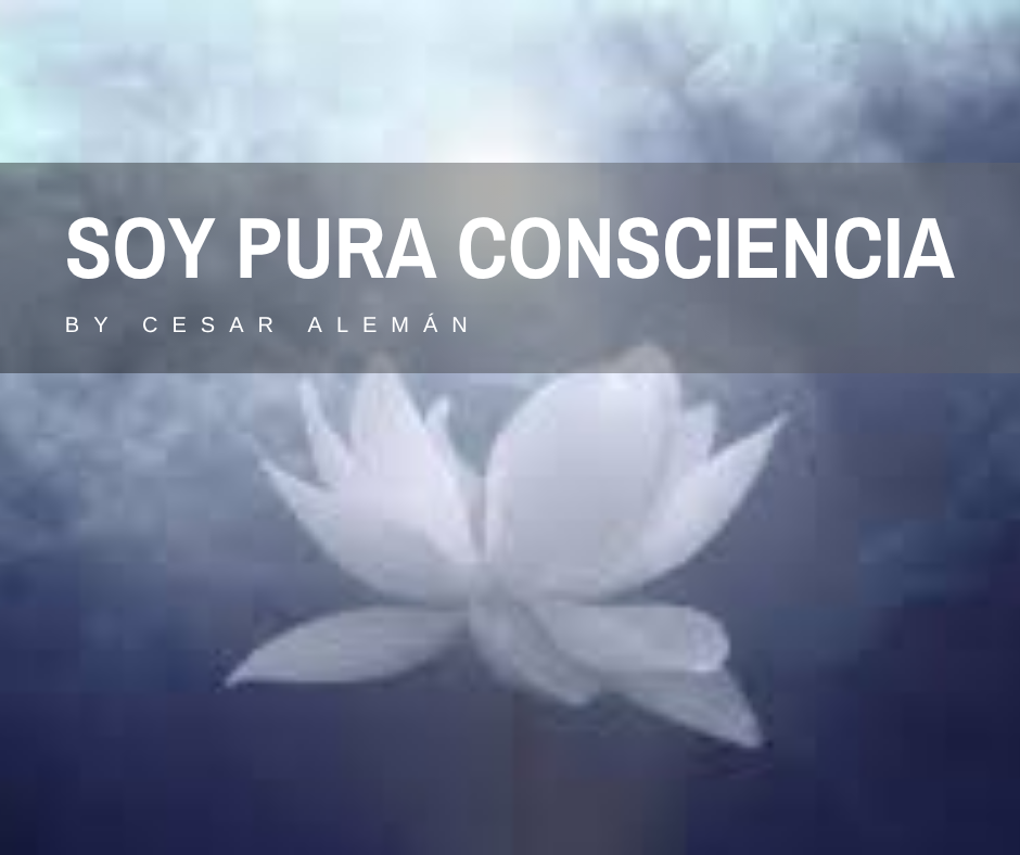 soy pura cosnciencia